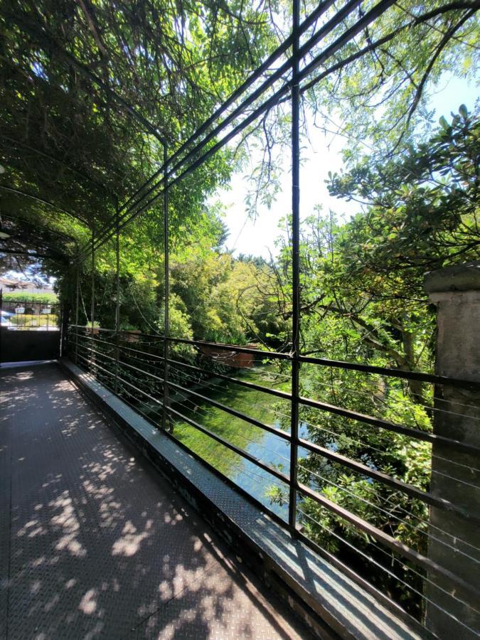 Un Coin Tropical En Provence ! Hotel L'Isle-sur-la-Sorgue Exterior photo